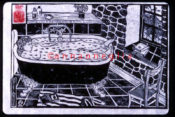 In the Bath - 17" x 11" - Available